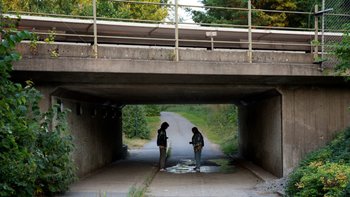 AKA_001_LFA_DesigningforDiversity_02