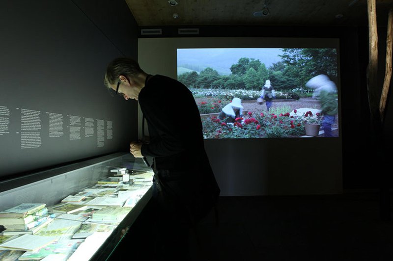 AKA_045_GreenFuse_exhibit_02